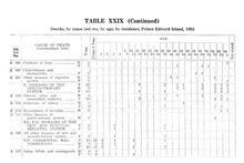 13915_OBJ-Thumbnail Image.jpg