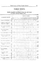 13940_OBJ-Thumbnail Image.jpg