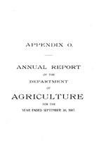 13962_OBJ-Thumbnail Image.jpg
