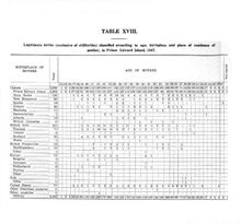 13981_OBJ-Thumbnail Image.jpg