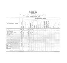 14017_OBJ-Thumbnail Image.jpg