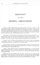 14052_OBJ-Thumbnail Image.jpg