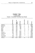 14063_OBJ-Thumbnail Image.jpg