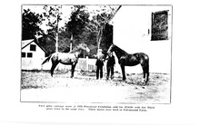 1411_OBJ-Thumbnail Image.jpg