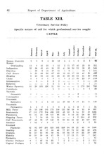 14138_OBJ-Thumbnail Image.jpg