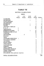 14368_OBJ-Thumbnail Image.jpg