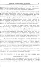 14391_OBJ-Thumbnail Image.jpg