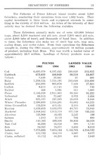 14423_OBJ-Thumbnail Image.jpg