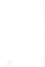 14527_OBJ-Thumbnail Image.jpg