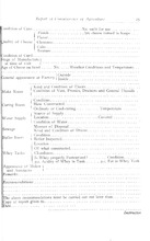 14652_OBJ-Thumbnail Image.jpg