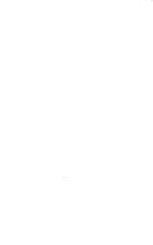 1482_OBJ-Thumbnail Image.jpg