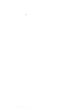 14905_OBJ-Thumbnail Image.jpg