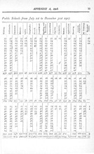 15198_OBJ-Thumbnail Image.jpg