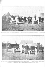15325_OBJ-Thumbnail Image.jpg
