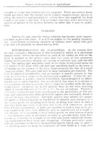 15437_OBJ-Thumbnail Image.jpg