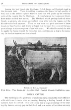 15472_OBJ-Thumbnail Image.jpg