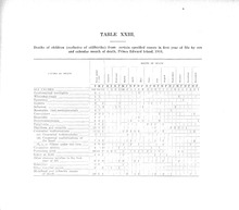 15476_OBJ-Thumbnail Image.jpg