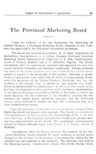 15562_OBJ-Thumbnail Image.jpg