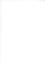 15685_OBJ-Thumbnail Image.jpg