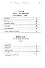 15734_OBJ-Thumbnail Image.jpg