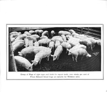 15761_OBJ-Thumbnail Image.jpg