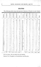 15882_OBJ-Thumbnail Image.jpg
