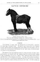 15944_OBJ-Thumbnail Image.jpg