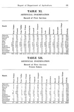 15946_OBJ-Thumbnail Image.jpg