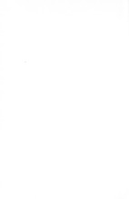 16037_OBJ-Thumbnail Image.jpg