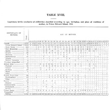 16082_OBJ-Thumbnail Image.jpg