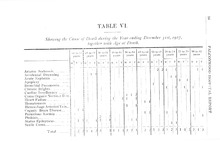 1611_OBJ-Thumbnail Image.jpg