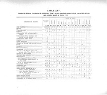 16206_OBJ-Thumbnail Image.jpg