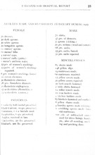 16210_OBJ-Thumbnail Image.jpg