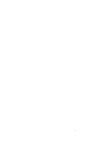 16254_OBJ-Thumbnail Image.jpg