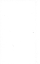 16261_OBJ-Thumbnail Image.jpg