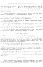 16525_OBJ-Thumbnail Image.jpg