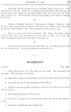 16617_OBJ-Thumbnail Image.jpg