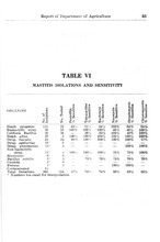 16804_OBJ-Thumbnail Image.jpg
