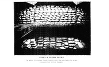 1682_OBJ-Thumbnail Image.jpg