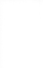 16931_OBJ-Thumbnail Image.jpg