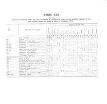 16967_OBJ-Thumbnail Image.jpg