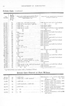 17113_OBJ-Thumbnail Image.jpg