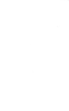 17171_OBJ-Thumbnail Image.jpg