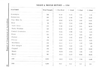 17183_OBJ-Thumbnail Image.jpg
