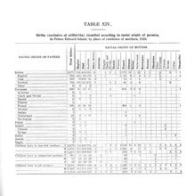 17191_OBJ-Thumbnail Image.jpg
