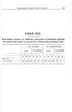 17243_OBJ-Thumbnail Image.jpg