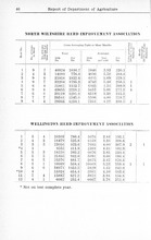 17369_OBJ-Thumbnail Image.jpg