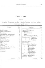 17389_OBJ-Thumbnail Image.jpg