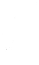 17391_OBJ-Thumbnail Image.jpg