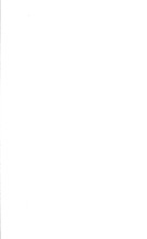 17490_OBJ-Thumbnail Image.jpg